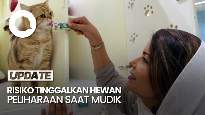 Video: Jangan Tinggalkan Hewan Peliharaan di Rumah saat Mudik Lebaran