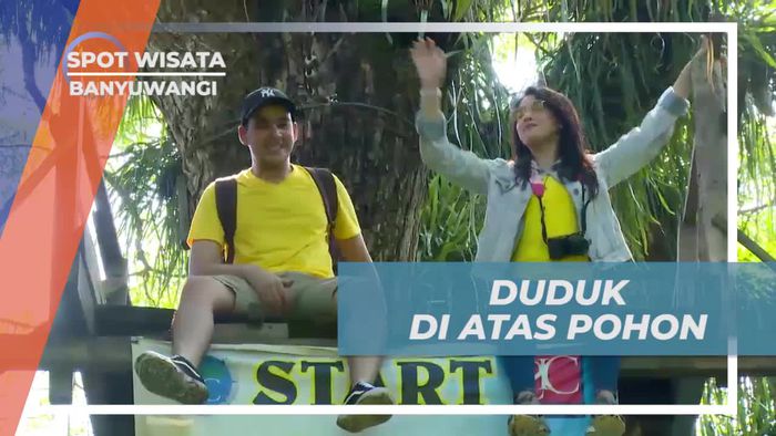 Bersantai di Atas Pohon Unik di Banyuwangi  