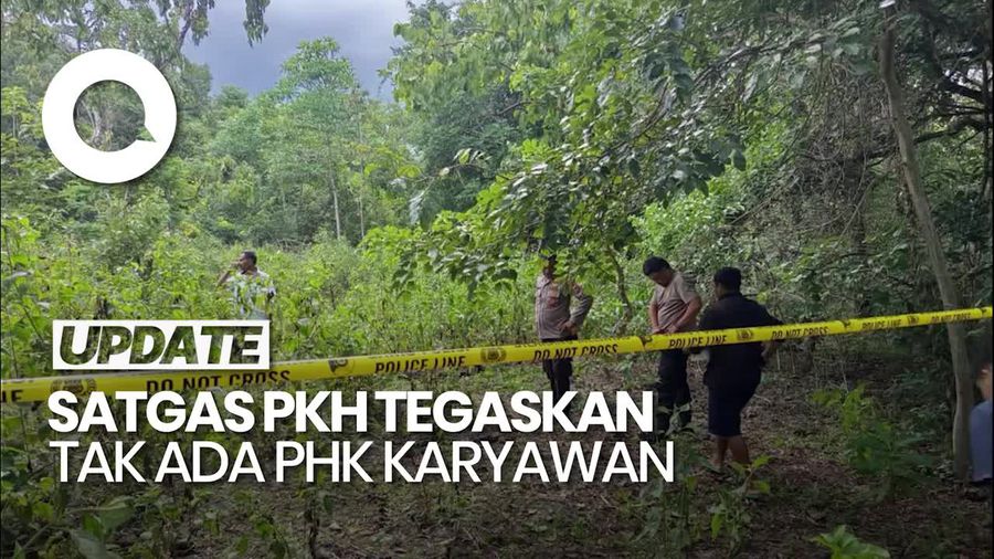 Video: Satgas PKH Pastikan Tak Ada PHK Pasca-penyitaan 1 Juta Hektare Hutan
