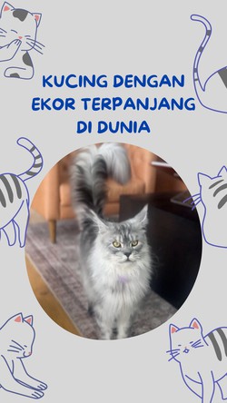 Video: Kenalan dengan Pugsley, Kucing dengan Ekor Terpanjang di Dunia