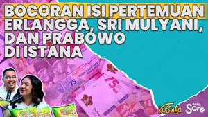 Di Balik Pemanggilan Erlangga Hartarto dan Sri Mulyani ke Istana. Soal BRICKS?