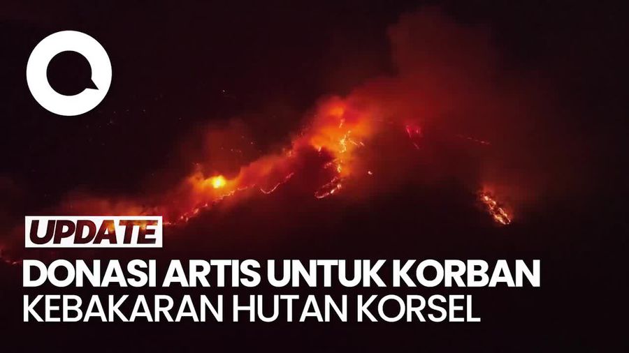 Video: Sejumlah Artis Sumbang Miliaran Rupiah untuk Korban Kebakaran Hutan Korsel
