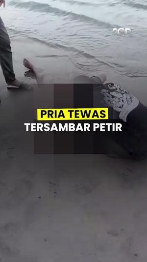 Video: Pria di Jembrana Tewas Tersambar Petir Saat Mancing Cumi Bersama Istri