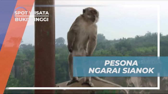 Menikmati Pesona Ngarai Sianok yang Memukau di Bukittinggi