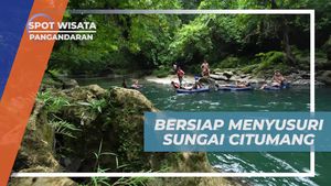 Menyusuri Keindahan Aliran Sungai Citumang di Pangandaran