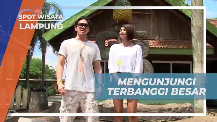 Mengunjungi Kebun Nanas di Terbanggi Besar, Lampung 