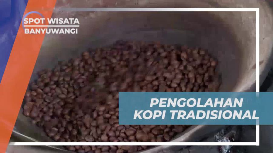 Menjelajahi Proses Pengolahan Kopi Tradisional yang Menarik di Banyuwangi