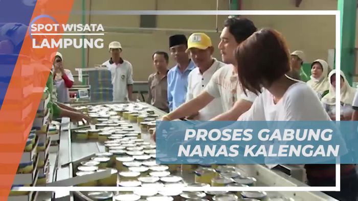 Mengamati Proses Pemasukan Nanas ke dalam Kaleng di Lampung 
