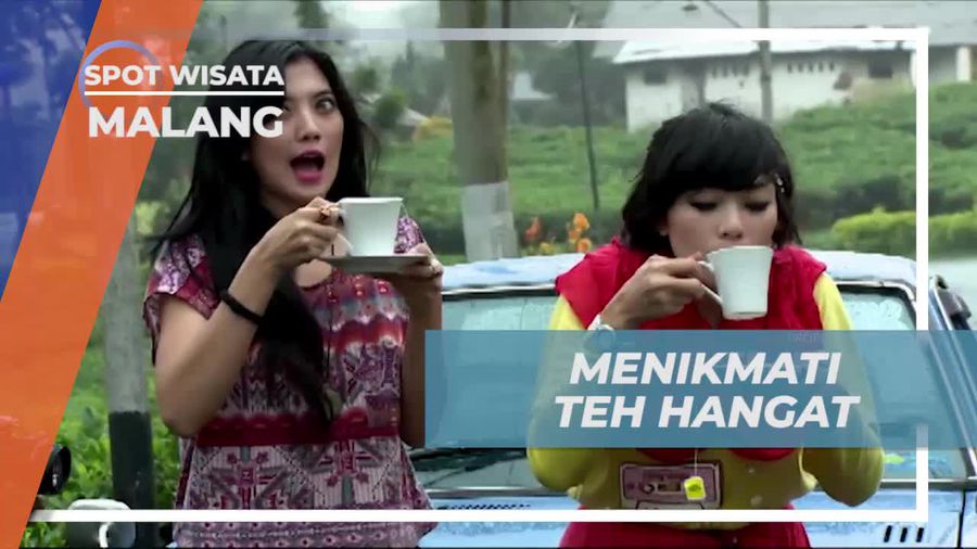 Menikmati Teh Hangat Setelah Memetik Daun di Malang