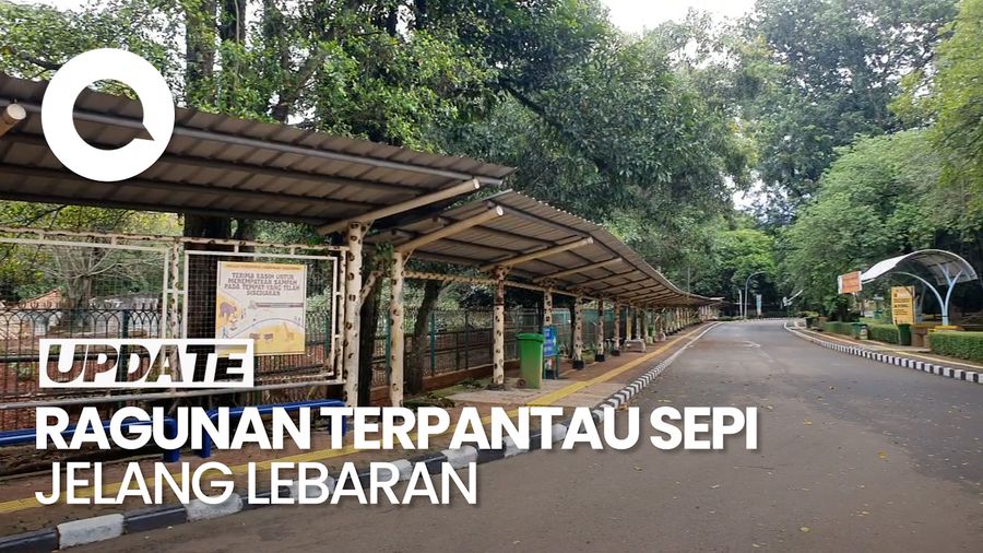 Video: H-3 Lebaran, Ragunan Terpantau Sepi