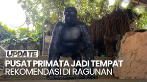 Video: Libur Lebaran di Ragunan, Ada Feeding Time Gorila hingga Keeper Talk!