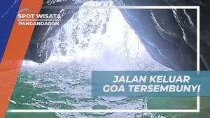Menemukan Pintu Keluar Goa Tersembunyi yang Menarik di Pangandaran
