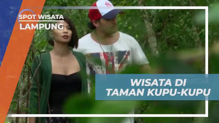 Menjelajahi Taman Kupu-kupu yang Menawan di Lampung  