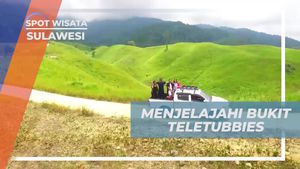 Menjelajahi Hamparan Hijau di Bukit Teletubbies yang Spektakuler, Sulawesi Tengah