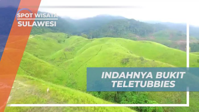 Bermain di Bukit Teletubbies yang Menawan di Sulawesi Tengah