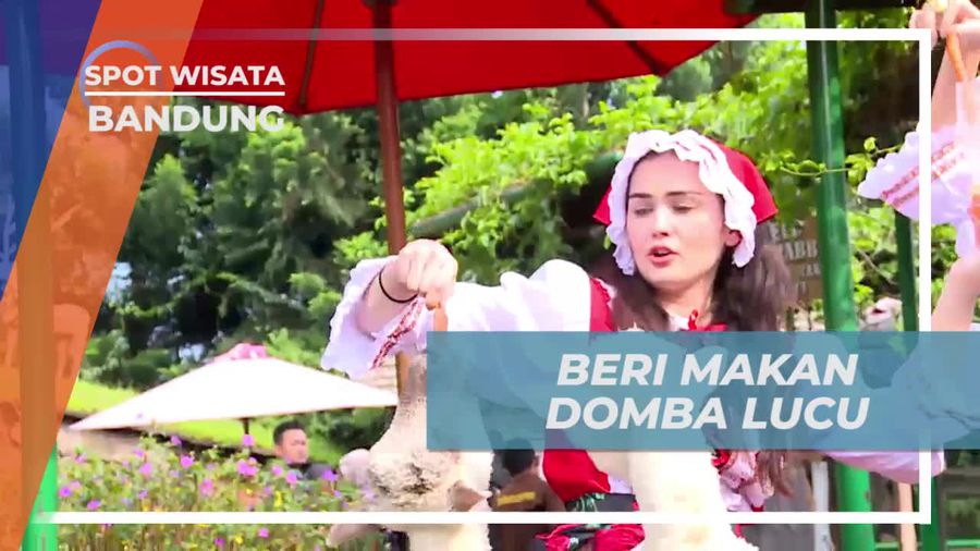 Memberi Makan Domba Lucu di Farm House yang Menyenangkan, Bandung