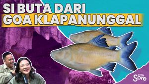 Cerita Di Balik Temuan Ikan Buta, Spesies Baru Asal Indonesia