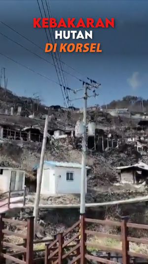 Video: Korban Kebakaran Hutan di Korsel Jadi 30 Orang 
