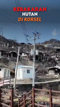 Video: Korban Kebakaran Hutan di Korsel Jadi 30 Orang 