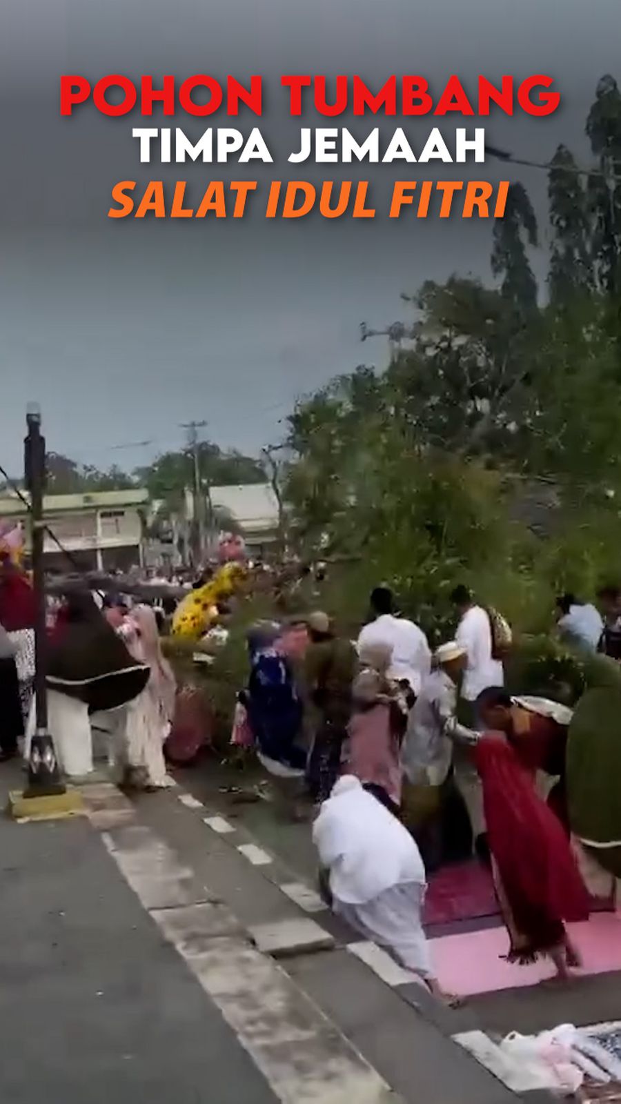 Video: 2 Jemaah Salat Id di Pemalang Tewas Tertimpa Pohon Tumbang