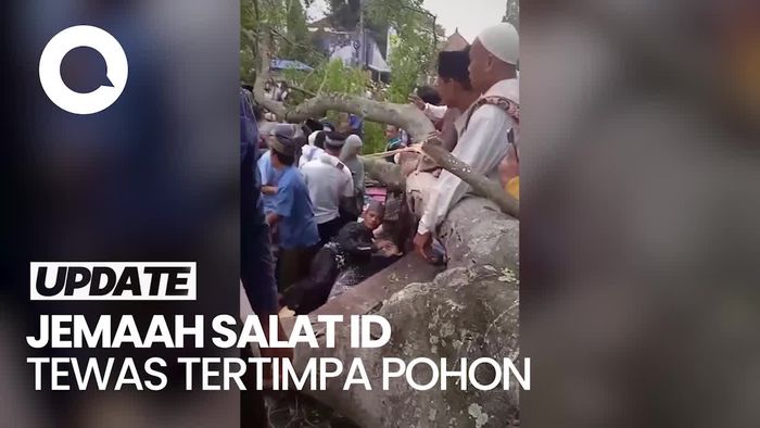 Video: Korban Tewas Tertimpa Pohon saat Salat Id di Pemalang Jadi 3 Orang