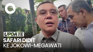 Video Dasco soal Safari Halalbihalal Didit ke Jokowi-Megawati: Bawa Pesan Prabowo
