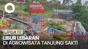 Video: Agrowisata Tanjung Sakti Ramai, Sehari Hampir 20 Ribu Pengunjung