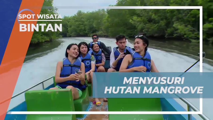 Temukan Keberagaman Alam saat Menyusuri Hutan Mangrove di Bintan