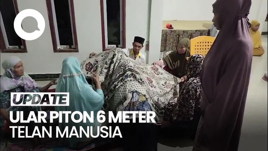 Video: Lansia 66 Tahun Ditelan Ular Piton 6 Meter
