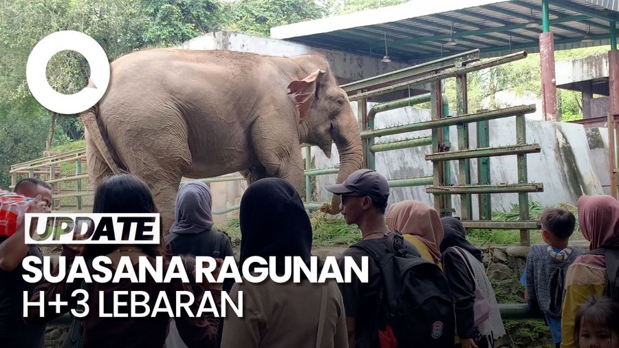 Video: Suasana Taman Margasatwa Ragunan Dipadati Pengunjung saat Libur Lebaran