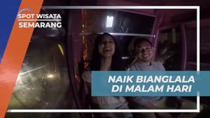 Menikmati Keindahan Bianglala di Malam Hari di Semarang