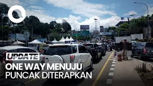 Video: Lalin Padat, One Way dari Arah Jakarta Menuju Puncak Diterapkan