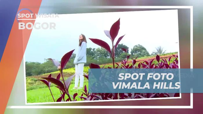 Berkreasi dengan Foto-Foto Cantik di Vimala Hills yang Asri di Bogor