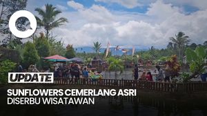 Video: Ramainya Wisata Sunflowers Cemerlang Asri Saat Libur Lebaran