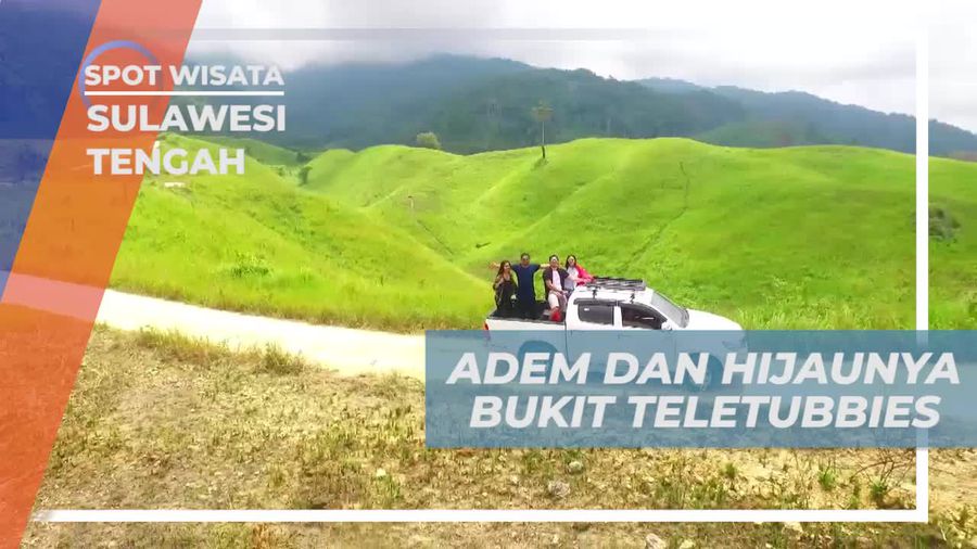 Terpesona dengan Hijau Alami Bukit Teletubbies yang Luas, Sulawesi Tengah