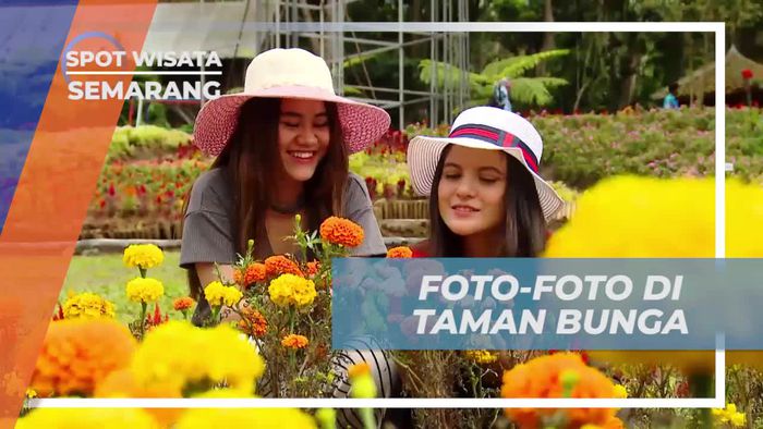 Jelajahi Keindahan Taman Bunga dengan Berfoto Asyik, Semarang