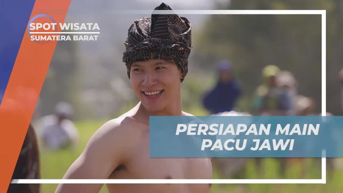 Bergabung dalam Persiapan Seru Pacu Jawi di Sumatera Barat