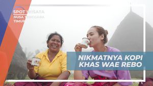 Menikmati Sensasi Kopi Khas Wae Rebo di Nusa Tenggara Timur