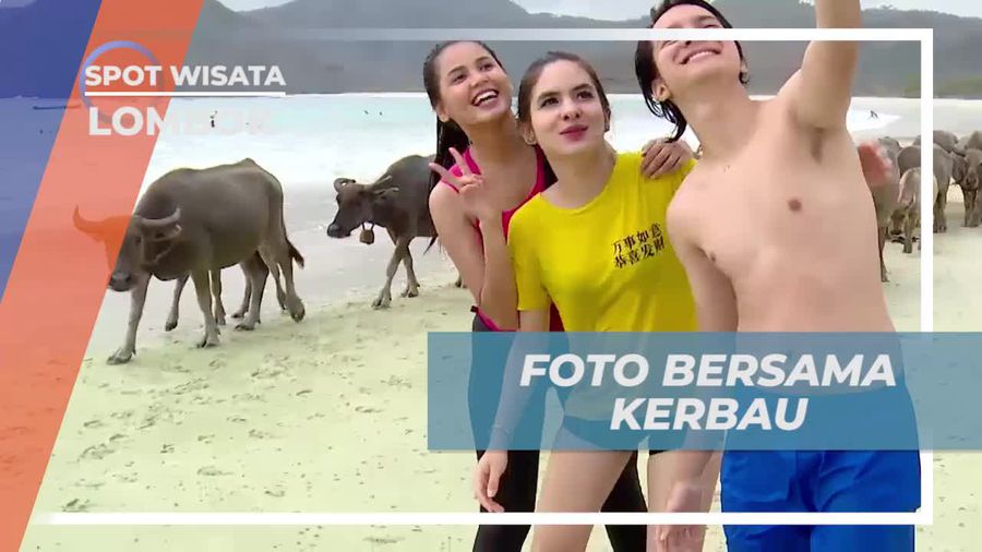 Bersantai Sore Bersama Kerbau di Pantai Selong Belanak, Lombok
