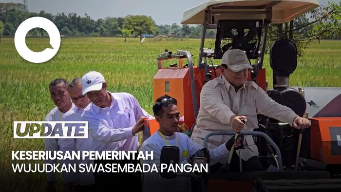 Video: Presiden Prabowo & Menko Zulhas Hadiri Panen Raya di Majalengka