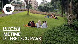 Video: Nggak Cuma Tamasya, Tebet Eco Park Cocok untuk Me Time