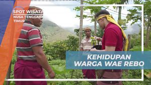 Berkebun Bersama Warga & Menikmati Hasil Alam di Wae Rebo, Nusa Tenggara Timur