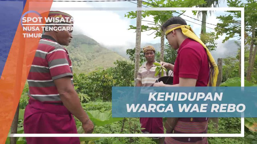Berkebun Bersama Warga & Menikmati Hasil Alam di Wae Rebo, Nusa Tenggara Timur