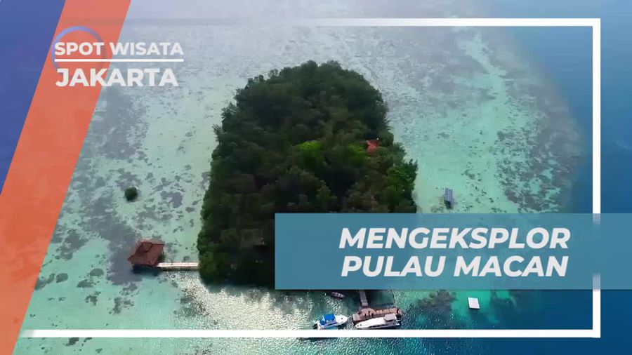 Jelajahi Surga Tersembunyi Pulau Macan di Kepulauan Seribu Jakarta