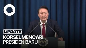 Video: Korsel Bakal Gelar Pilpres 3 Juni 2025