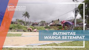 Saksikan Rutinitas Bertani yang Menghormati Tradisi di Desa Nagari Tuo Pariangan