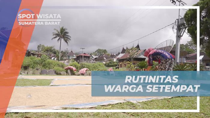 Saksikan Rutinitas Bertani yang Menghormati Tradisi di Desa Nagari Tuo Pariangan