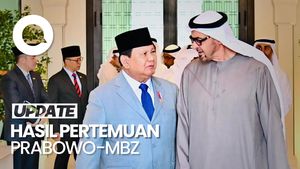 Video: 8 Poin Kerja Sama yang Disepakati Prabowo-MBZ di Abu Dhabi