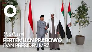 Video: Prabowo Bertemu Presiden MBZ, Bahas Geopolitik-Konflik Gaza