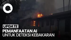 Video: Ketika AI Dimanfaatkan untuk Prediksi Potensi Kebakaran Hutan